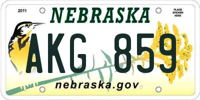 NE license plate AKG859