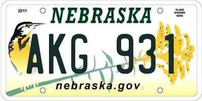 NE license plate AKG931