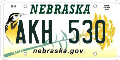 NE license plate AKH530
