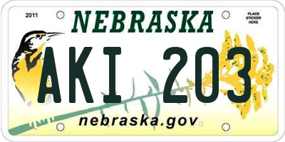 NE license plate AKI203