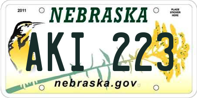 NE license plate AKI223