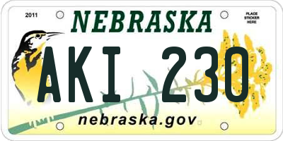 NE license plate AKI230