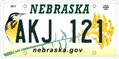 NE license plate AKJ121