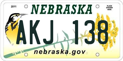 NE license plate AKJ138