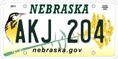 NE license plate AKJ204