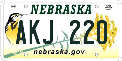 NE license plate AKJ220