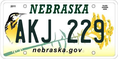 NE license plate AKJ229