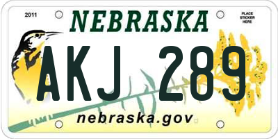 NE license plate AKJ289