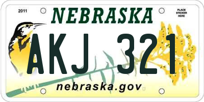 NE license plate AKJ321