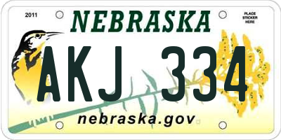 NE license plate AKJ334