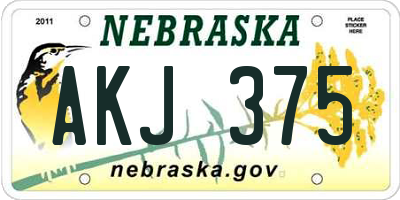 NE license plate AKJ375
