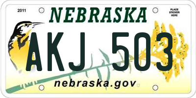 NE license plate AKJ503