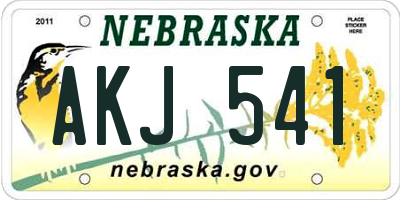 NE license plate AKJ541