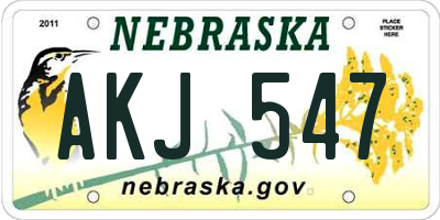 NE license plate AKJ547