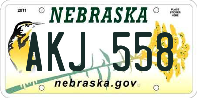 NE license plate AKJ558