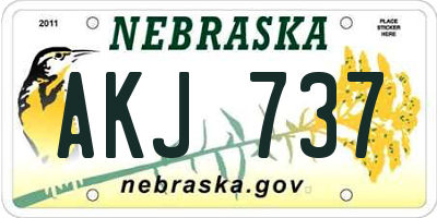 NE license plate AKJ737