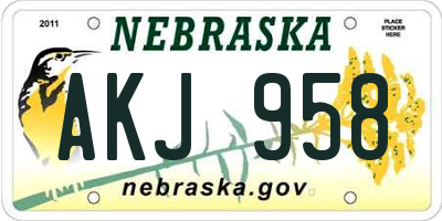 NE license plate AKJ958