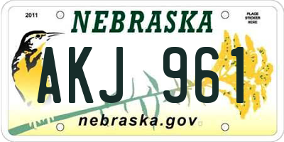 NE license plate AKJ961