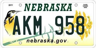 NE license plate AKM958