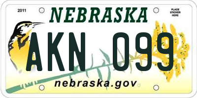 NE license plate AKN099