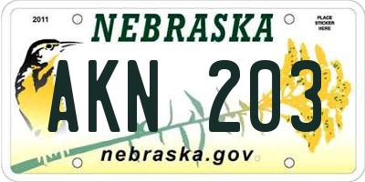 NE license plate AKN203