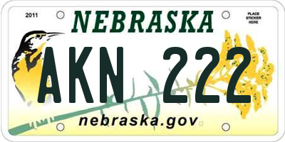 NE license plate AKN222