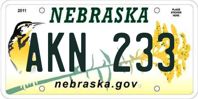 NE license plate AKN233