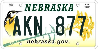 NE license plate AKN877
