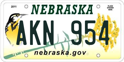 NE license plate AKN954