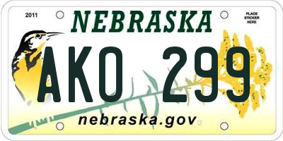 NE license plate AKO299