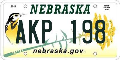 NE license plate AKP198