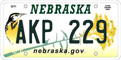 NE license plate AKP229