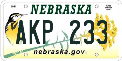 NE license plate AKP233