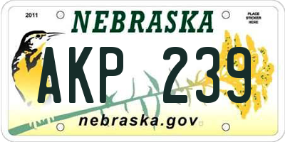 NE license plate AKP239