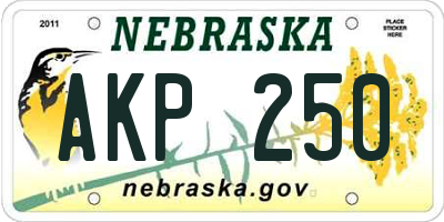 NE license plate AKP250