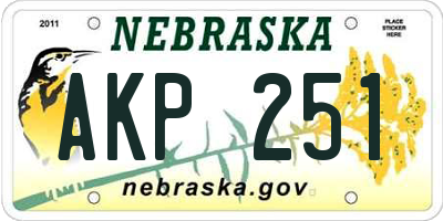 NE license plate AKP251