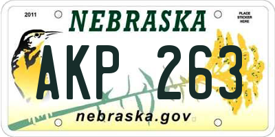 NE license plate AKP263