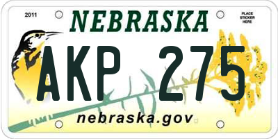 NE license plate AKP275