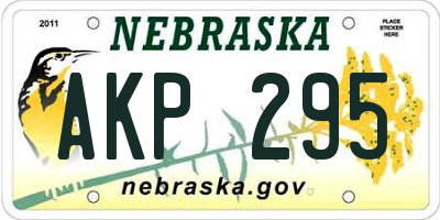 NE license plate AKP295