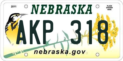 NE license plate AKP318