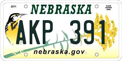 NE license plate AKP391