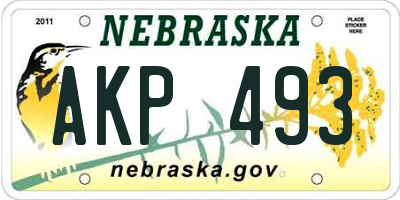 NE license plate AKP493