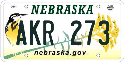 NE license plate AKR273