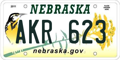 NE license plate AKR623