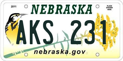 NE license plate AKS231