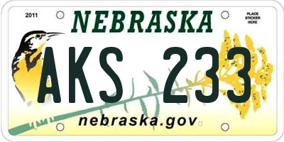 NE license plate AKS233