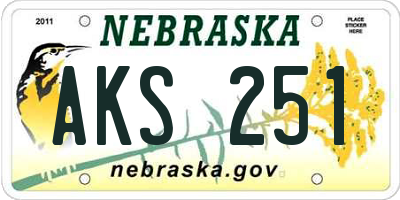 NE license plate AKS251