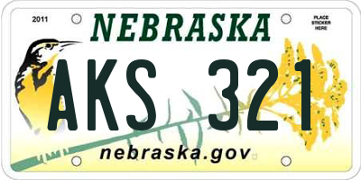 NE license plate AKS321