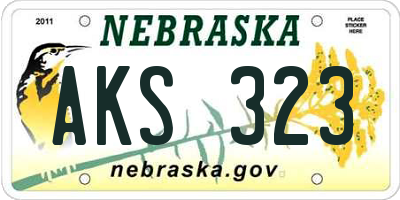 NE license plate AKS323