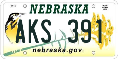 NE license plate AKS391
